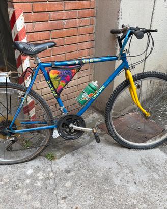 Bici Uomo - Cambio Meccanico