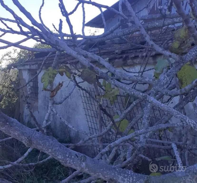 Appartamento – Cerveteri, Piano del Fregneto - Vista 2