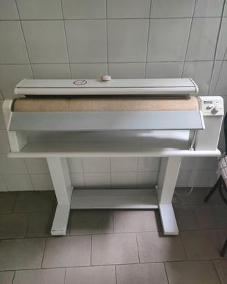 Stiratrice professionale