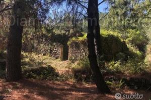 Terreno 20.000mq con fabbricato a Piedimonte Etneo