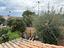 Immagine 20