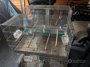 Gabbia uccelli