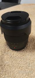 Panasonic Lumix 12-60 F 3.5- 5.6  G Vario
