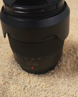 Panasonic Lumix 12-60 F 3.5- 5.6  G Vario