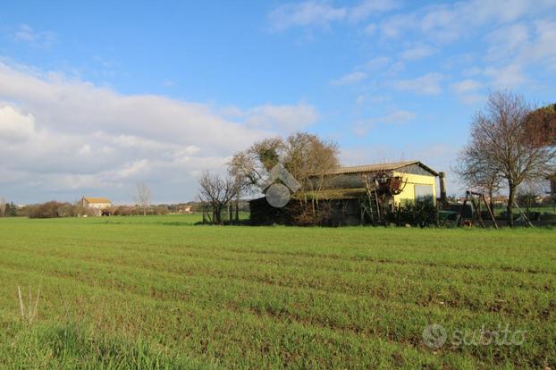 RUSTICO A RIMINI