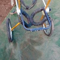carrello x cani disabili
