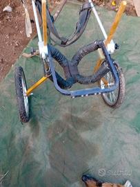 carrello x cani disabili