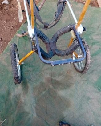 carrello x cani disabili