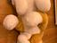 Immagine 2