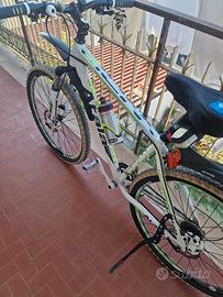 bicicletta mountain bike 