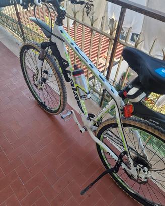 bicicletta mountain bike 