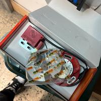 selettra italkit piaggio