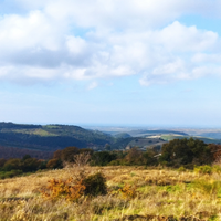 Terreno con ricovero attrezzi