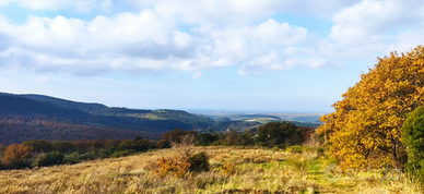 Terreno con ricovero attrezzi