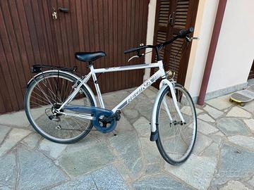 bicicletta uomo Trekking Regina originale