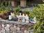 Immagine 6