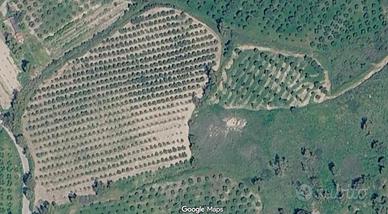 Terreno agricolo a Belcastro