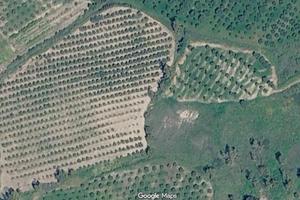 Terreno agricolo a Belcastro
