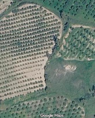 Terreno agricolo a Belcastro