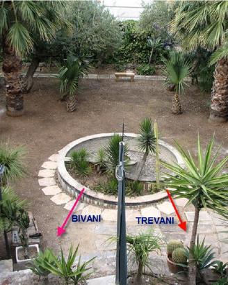 Bivani/Trivani - Spiaggia Privata - dal 18 Agosto