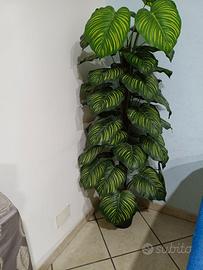 Pianta finta 