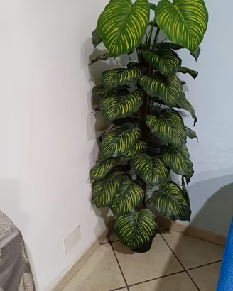 Pianta finta 