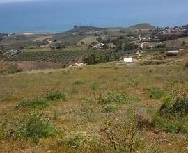 Un ettaro di terreno agricolo per cubatura