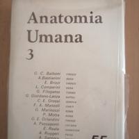 Libro Anatomia Umana vol. 3