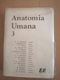Libro Anatomia Umana vol. 3