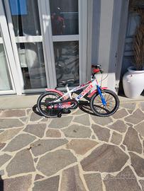 bicicletta