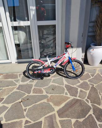 bicicletta