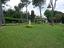 Immagine 7