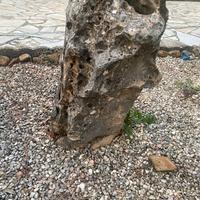 Pietre ornamentali da giardino