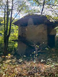 Rustico e tereno alberato