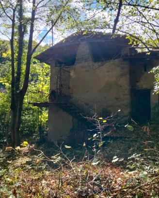 Rustico e tereno alberato