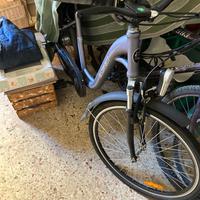 Bicicletta elettrica