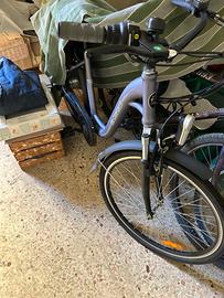 Bicicletta elettrica