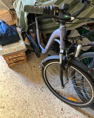 Bicicletta elettrica