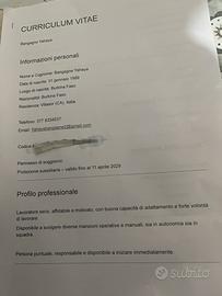 Muratore e magazziniere