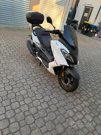 Scooter 300 cc
