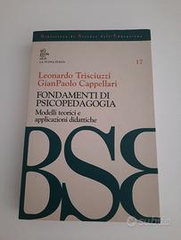 Fondamenti di psicopedagogia