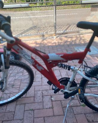 Bicicletta