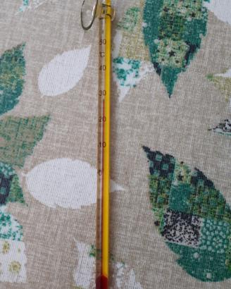 termometro per acquario