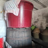 Tini per vino 10 quintali legno,plastica