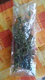 Timo serpillo in sacchetti