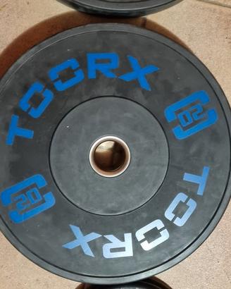 dischi bumper toorx