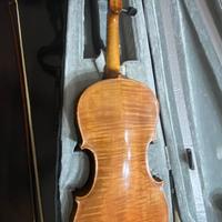 Violino