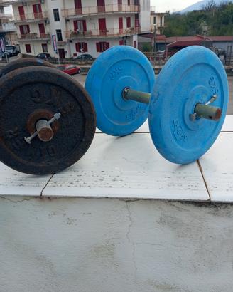 pesi X palestra 