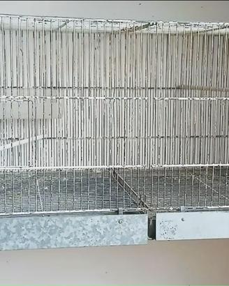 Gabbia allevamento coppia cardellini