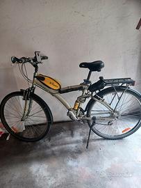 citybaik declaton 